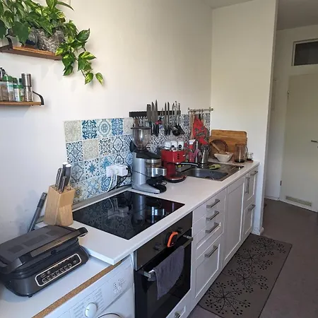 아파트 Cosy Flat In Berlin's Trendy Area 베를린